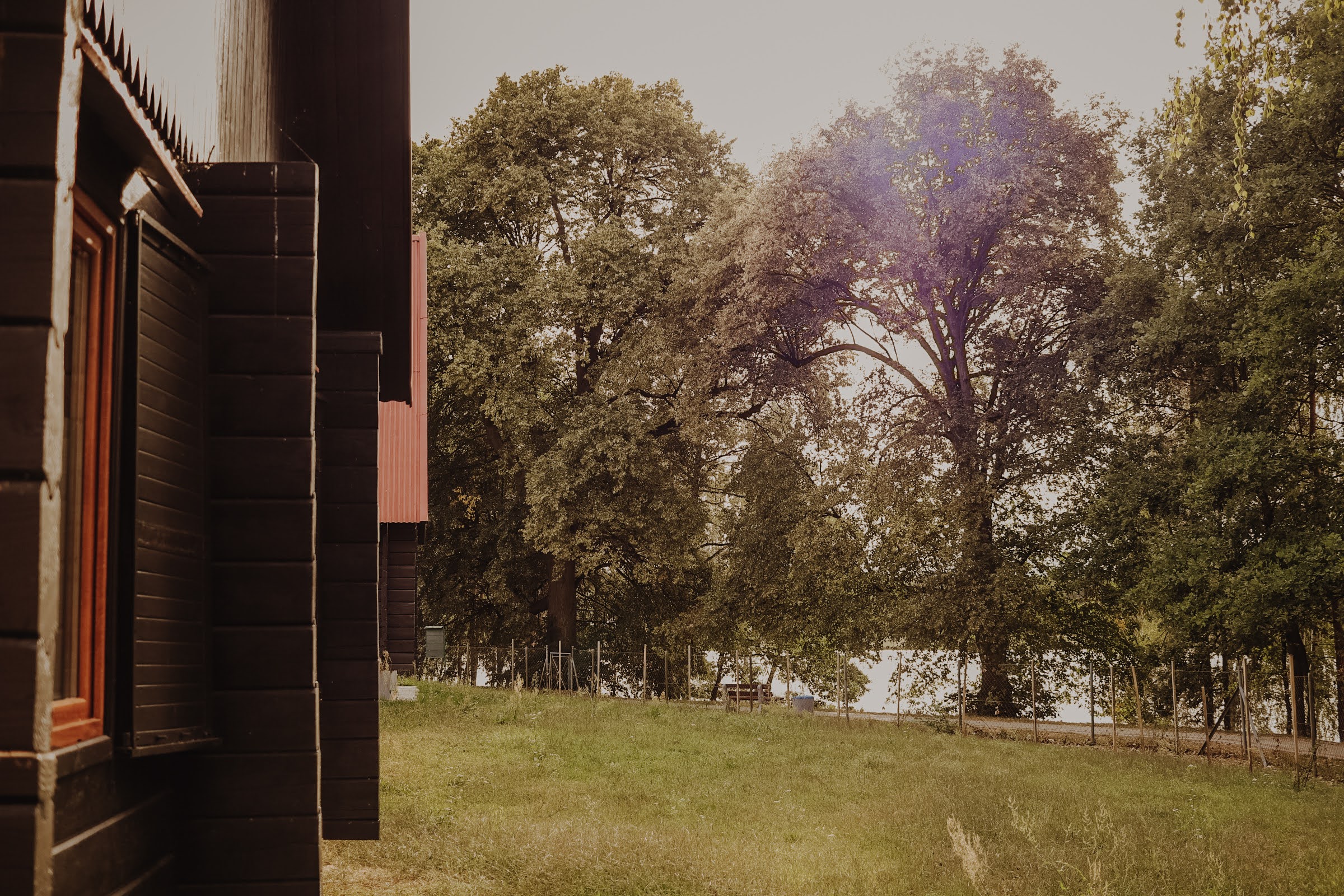 Widok na drzewa i zieleń wokół domków letniskowych nad Zalewem w Ożannie.