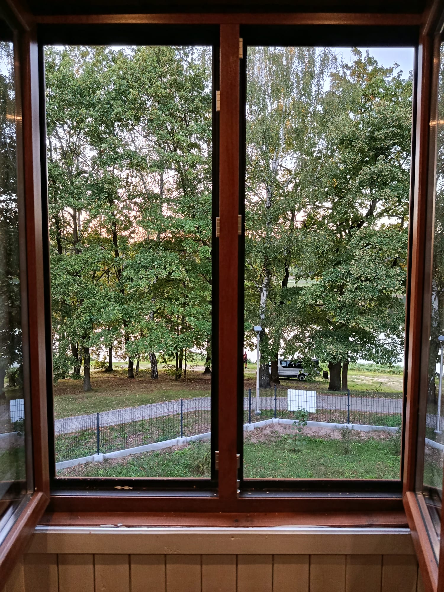 Widok z okna domku letniskowego na ogród, drzewa i ogrodzenie.