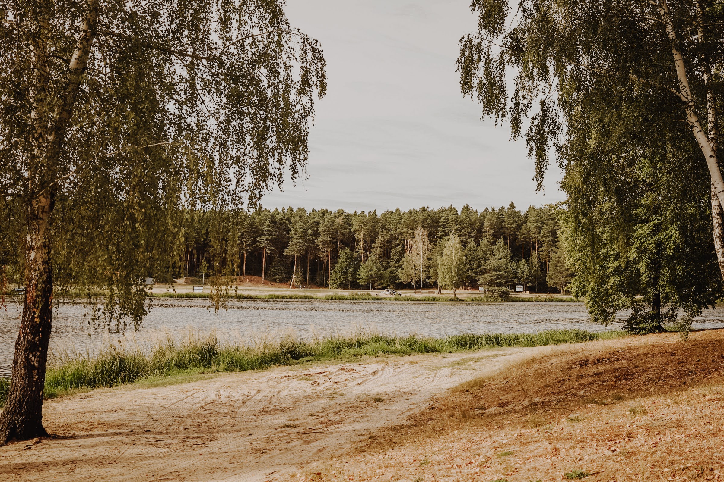 Widok na piaszczysty brzeg i wodę Zalewu w Ożannie z otaczającymi drzewami.